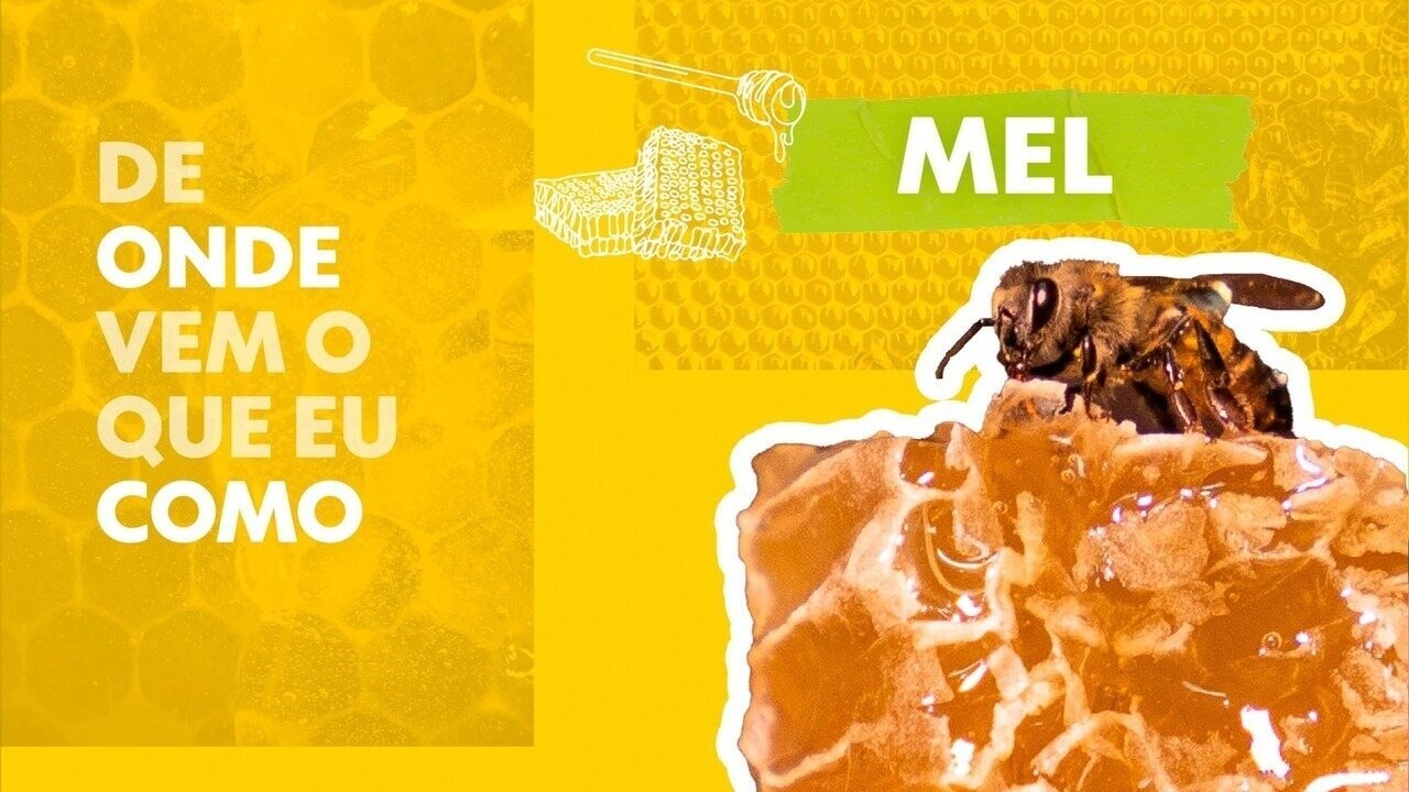 Com as próprias mãos, homem já salvou cerca de 6 milhões de abelhas em Singapura