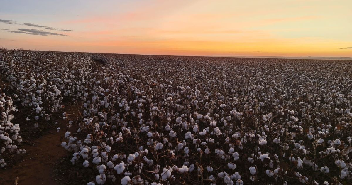 Agtech Stenon capta 18 milhões de euros em rodada série b