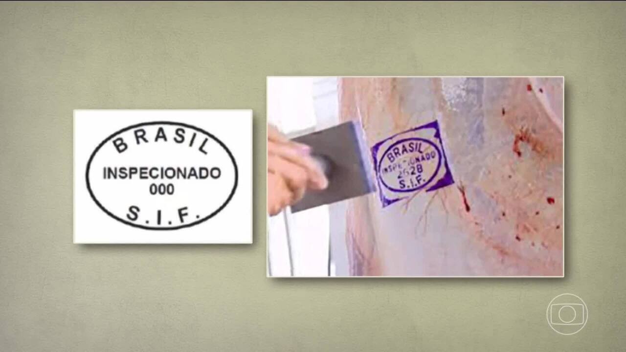 Como montar uma horta em casa